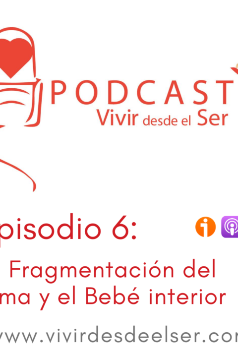 Episodio 6: La Fragmentación del alma y el bebé interior