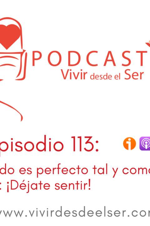 Episodio 113: Todo es perfecto tal y como es: ¡Déjate sentir!